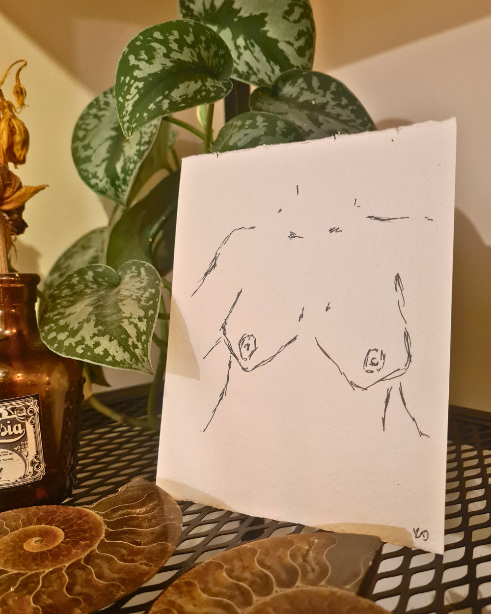 Original Erotic Sketches