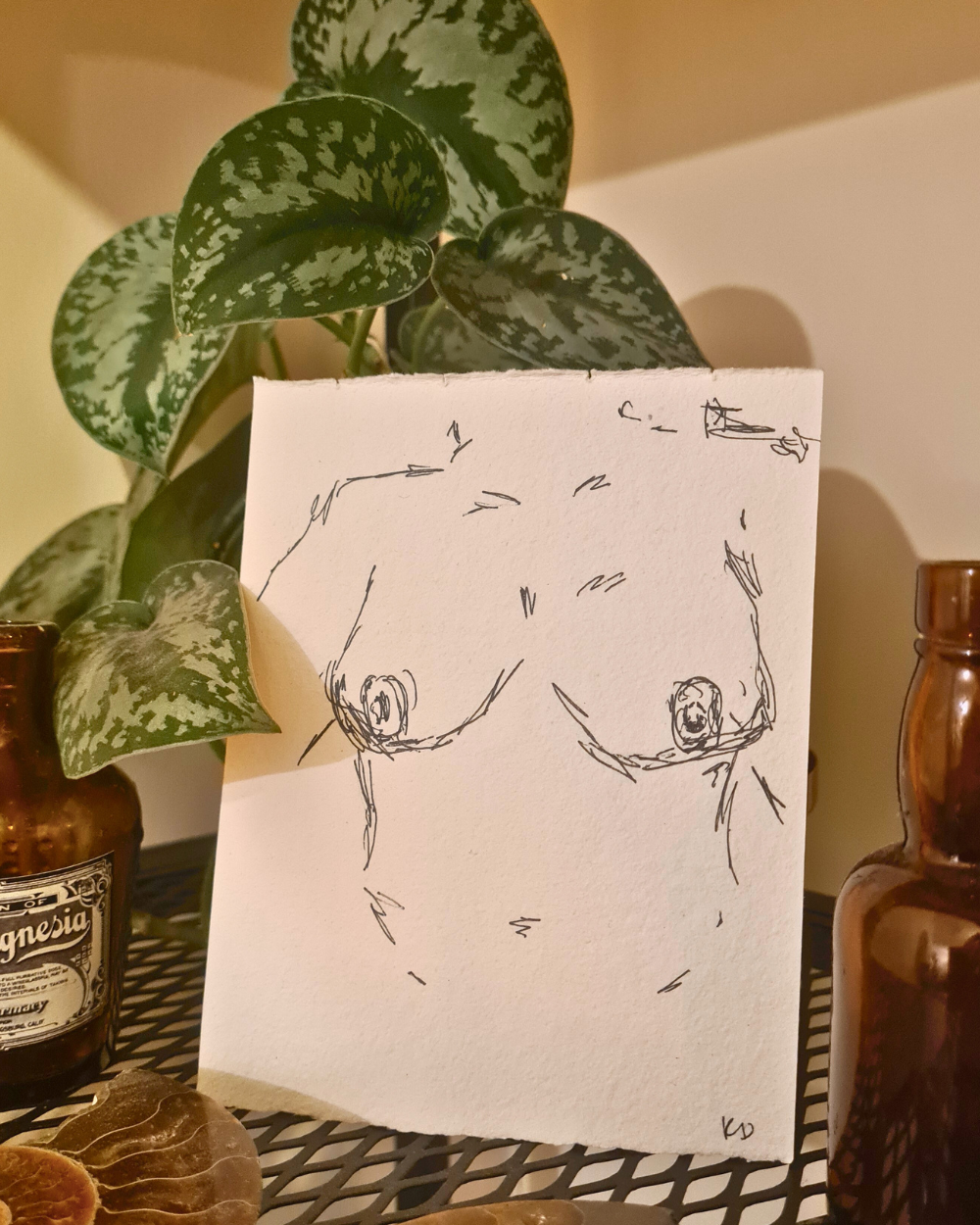 Original Erotic Sketches