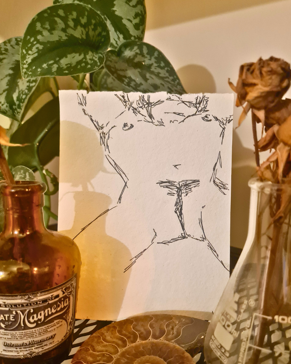 Original Erotic Sketches