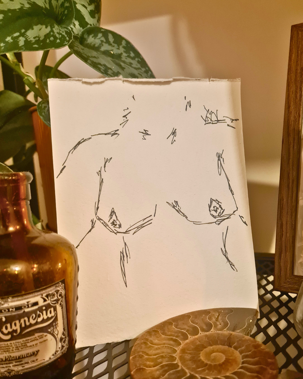 Original Erotic Sketches