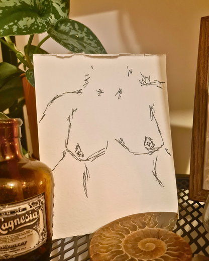 Original Erotic Sketches