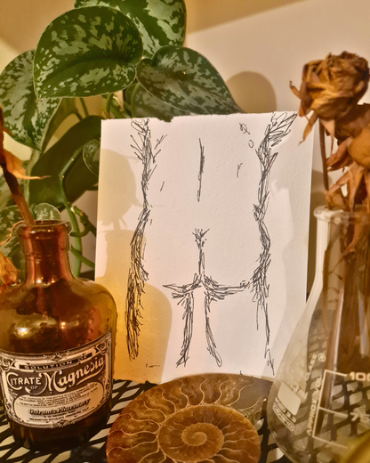 Original Erotic Sketches