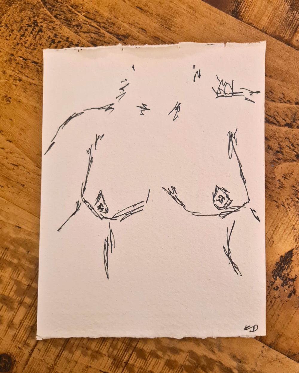 Original Erotic Sketches