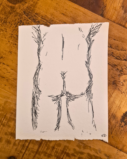 Original Erotic Sketches