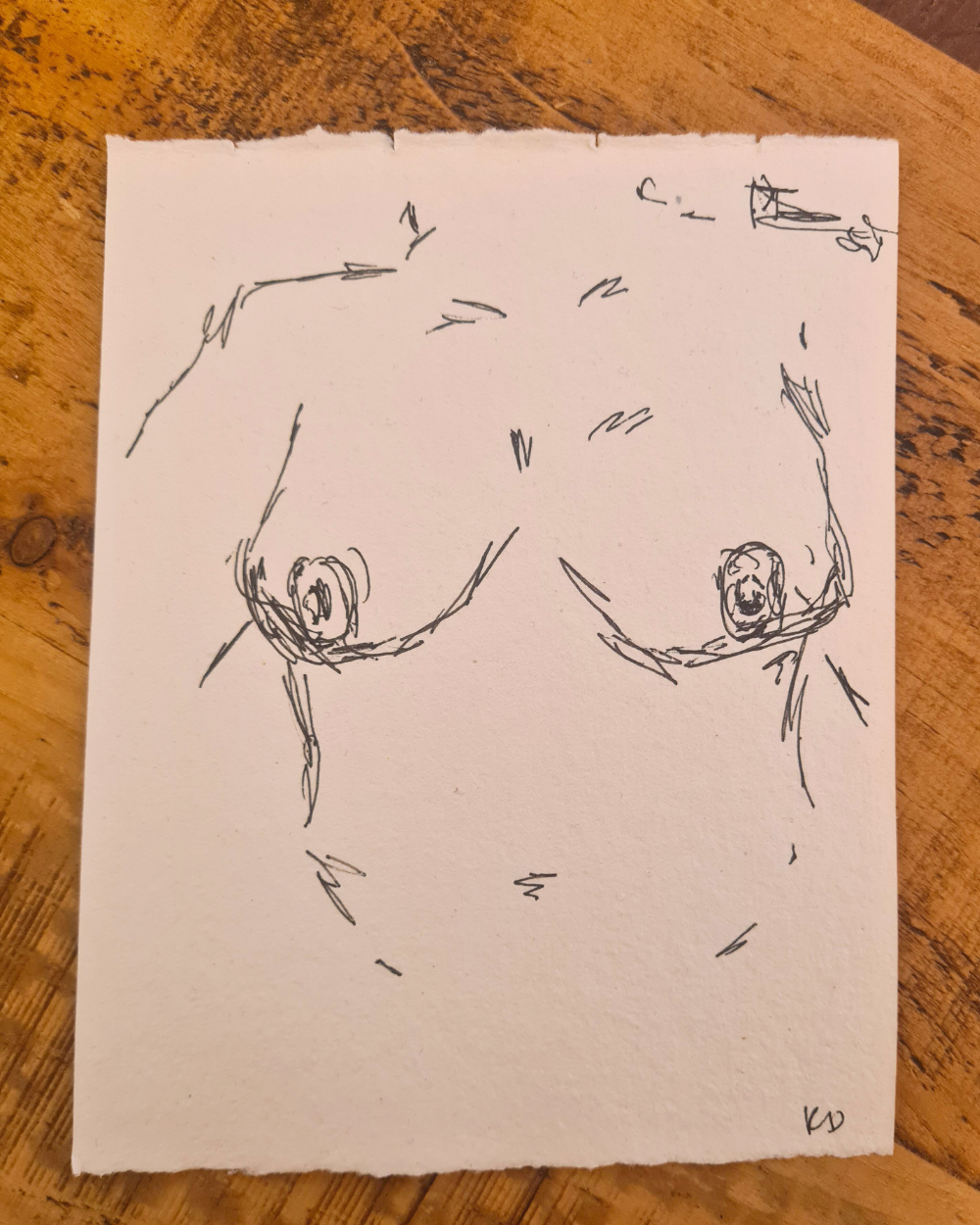 Original Erotic Sketches