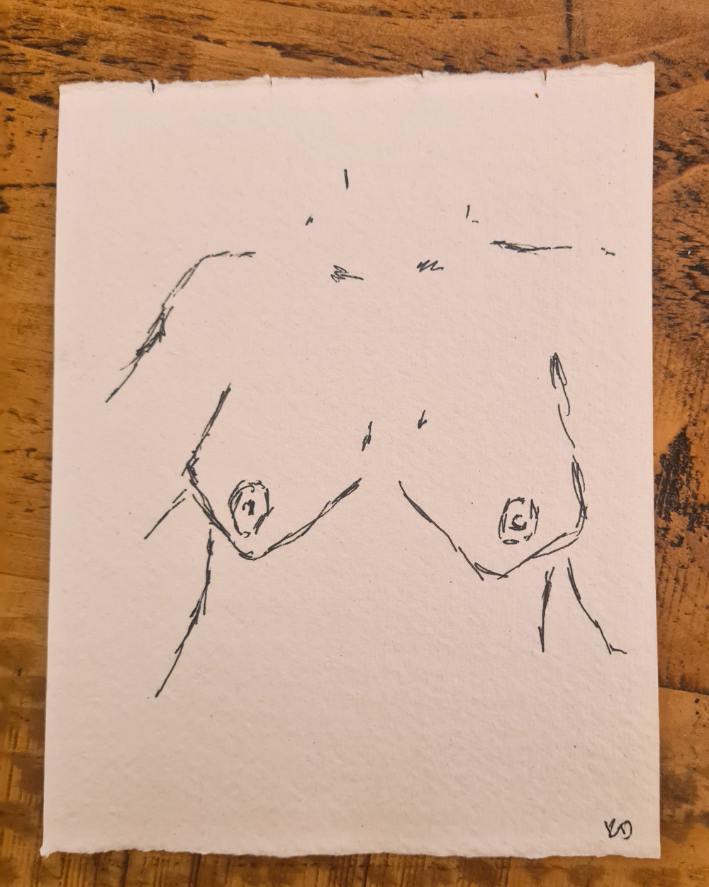 Original Erotic Sketches