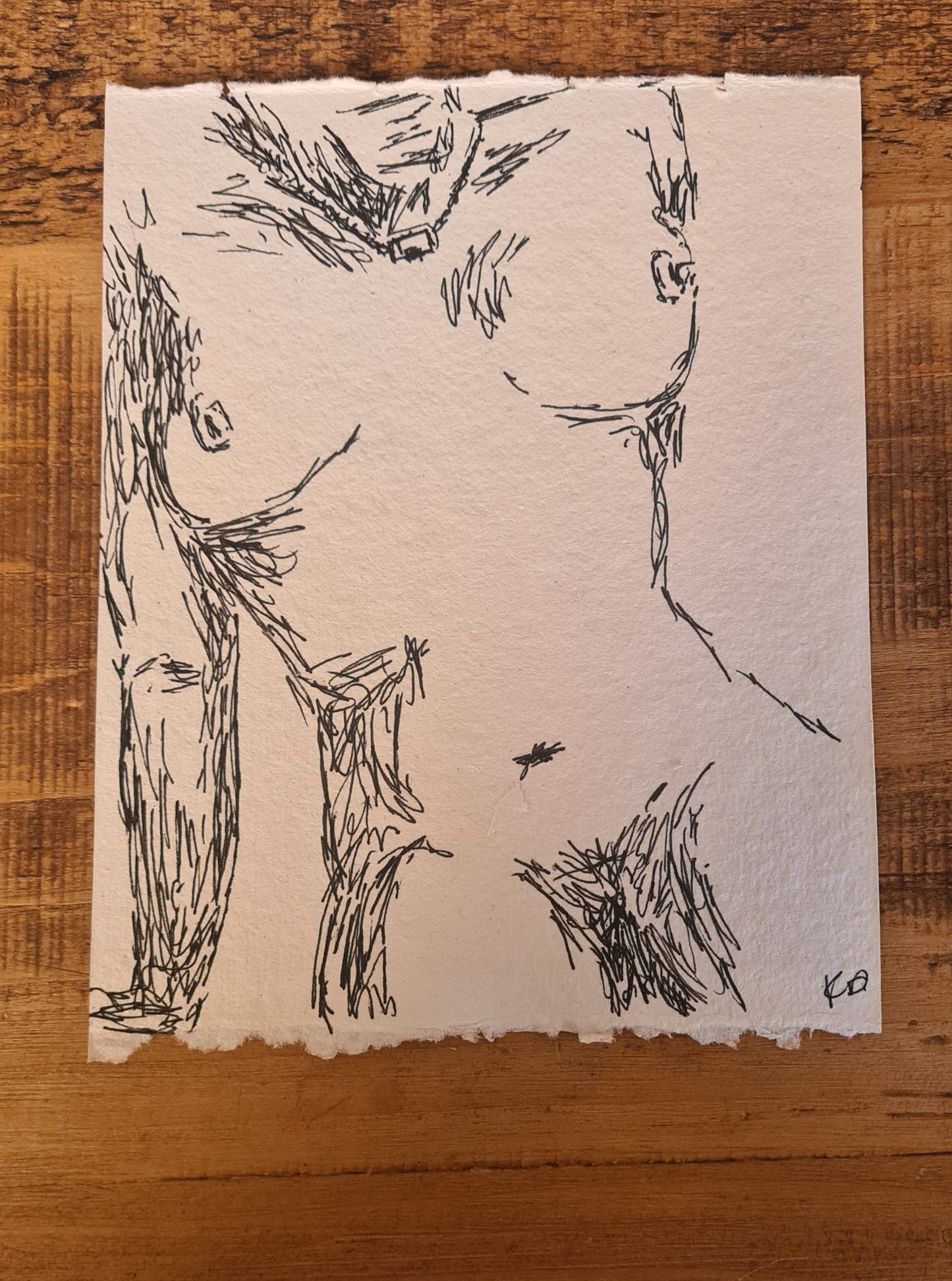 Original Erotic Sketches