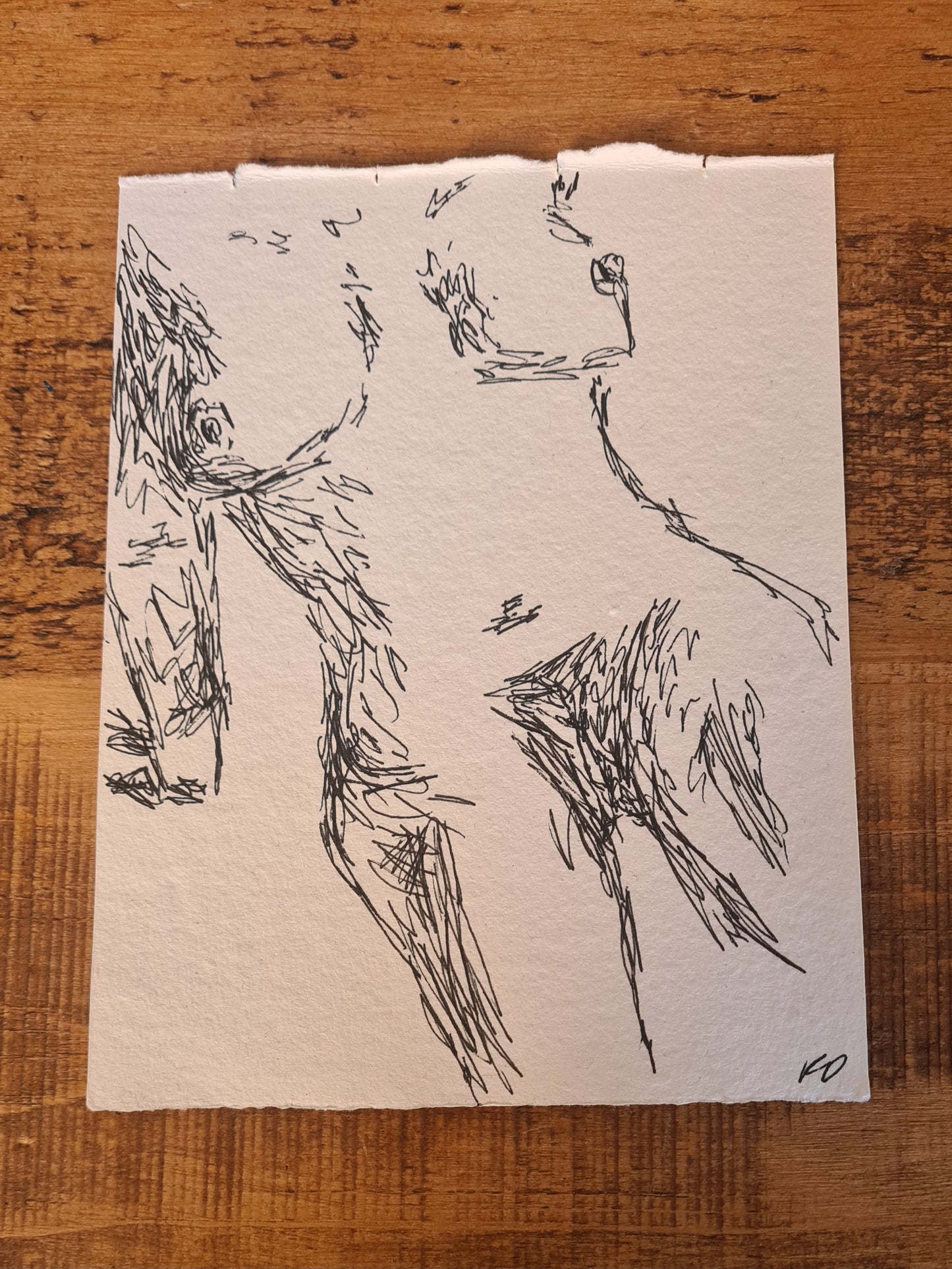 Original Erotic Sketches